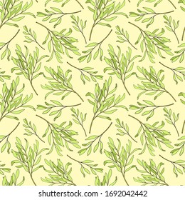 Tea tree leaves seamless pattern. Hand drawn vector illustration of Melaleuca. Green medicinal plant isolated on pastel yellow background. Herbs for cosmetics, package, textile, essential oil