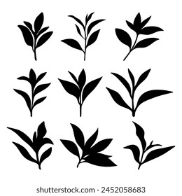 Tea tree leaves silhouette stencil templates