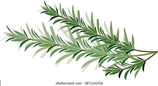 139 Melaleuca Linariifolia Images, Stock Photos & Vectors | Shutterstock