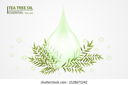 Tea tree oil drop of essential oil. Vector illustration.