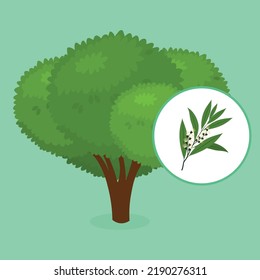 tea tree on green background