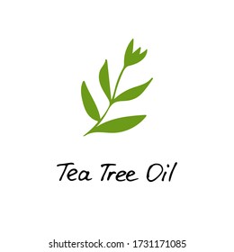 Tea Tree Plant. Cosmetic Ingredient Tea Tree Oil. Hand Drawn Icon For Print And Web. Vector Graphic.