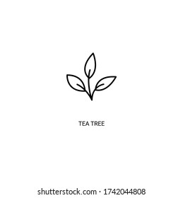 Tea Tree Simple Thin Line Icon Vector Illustration