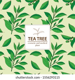 Tea Tree. Vector Hand Drawn Vintage Deamless Pattern. Botanical Ornament.