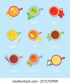 Tea type top view. Cups various chai hot fruit beverages, desk teacup drink teas flowers animation toppings flavor ingredients ginger mint flavor drinktop, neat vector illustration of tea cup set