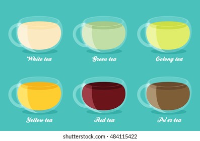 Tea Types Infographics. Vector tea drinks guide in flat style