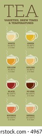 Tea varieties and brewing instructions. Steeping time and temperature. Types of tea in glass teapots. Infographic poster
