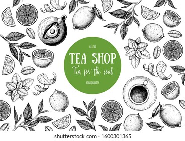 Tea vector illustration. Citrus and tea leaves. Healthy drink. Hand drawn sketch.  Engraved style. Can used for vintage package design with tea product. Vector hand drawn set.
