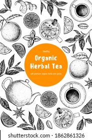Ilustración vectorial del té. Cítricos y hojas de té. Bebida saludable. Esbozo dibujado a mano.  Estilo grabado. Se puede usar para el diseño de paquetes vintage con el producto de té. Juego de vectores dibujado a mano.