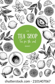Ilustración vectorial del té. Cítricos y hojas de té. Bebida saludable. Esbozo dibujado a mano. Estilo grabado. Se puede usar para el diseño de paquetes vintage con el producto de té. Juego de vectores dibujado a mano.