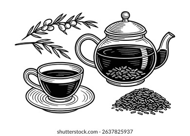 Tea Vector Illustration Teapot Cup and Tea Leaves Outline Drawing Isolated
