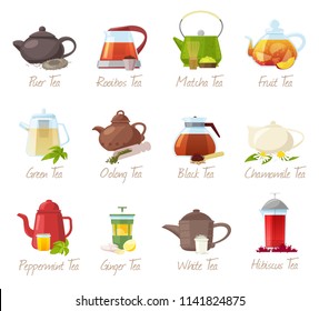 Tea vector puer-tea and rooibos or matcha fruity drinks in teapot illustration drinking set of green or black tea in cafe isolated on white background