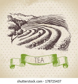 Tea vintage background. Hand drawn sketch illustration. Menu design