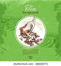 Tea vintage background. Hand drawn sketch illustration. Menu design	