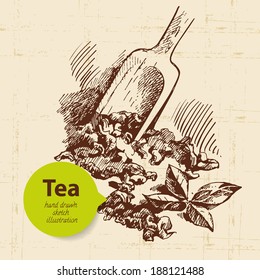 Tea vintage background. Hand drawn sketch illustration. Menu design
