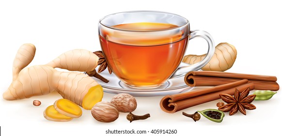Tea witch masala spices on white background. Vector illustration