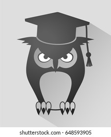 teacher owl icon