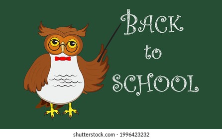 Teacher Owl points on the blackboard to pick up students back to school.