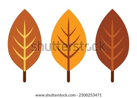 Teak Leaf Color Art Capturing the Intricacy of Leaf Patterns