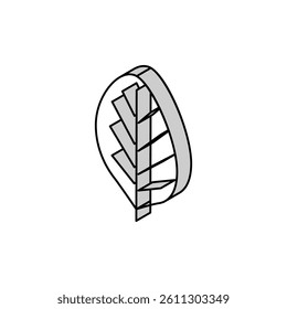 teak leaf isometric icon vector. teak leaf sign. isolated symbol illustration