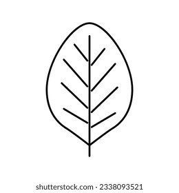 teak leaf line icon vector. teak leaf sign. isolated contour symbol black illustration