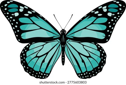 Ilustración vectorial mariposa cerceta