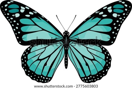Teal Butterfly Vector Illustration Isolated on White Background Beautiful Monarch Species Wing Design for Nature Spring Wedding and Environmental Conservation Graphic Projects