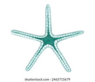 Teal Color Starfish, Underwater Life watercolor vector illustration isolated on white background