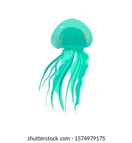 Teal green jellyfish drawing with long tentacles and transparent hand drawn texture isolated on white background - colorful sea animal vector illustration