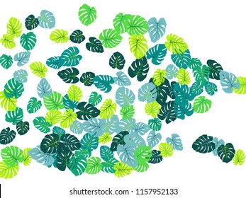 Teal green tropical jungle leaves vector scatter. Philodendron or monstera plant summer background. Cool jungle plants tropical foliage pattern. Floral vector with monstera leaves on white.