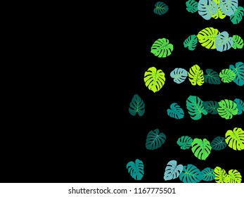Teal green tropical jungle leaves vector scatter. Philodendron or monstera plant summer background. Cute jungle plants tropical foliage pattern. Floral design with monstera leaves on black.