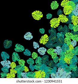 Teal green tropical jungle leaves vector scatter. Philodendron or monstera plant summer background. Hawaiian jungle plants tropical foliage pattern. Floral vector with monstera leaves on black.
