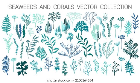 Teal seaweeds and coral reef underwater plans vector collection. Aquarium, ocean and marine algae water plants, corals isolated on white. Seaweeds polyps silhouettes set. Branches, twigs and flowers.