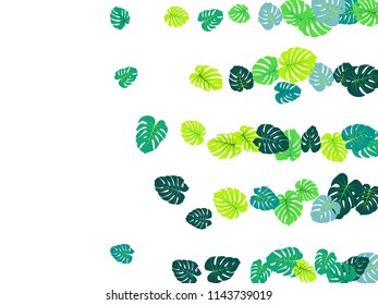 Teal tropical jungle leaves vector scatter. Philodendron or monstera plant summer background. Hawaiian jungle plants tropical foliage pattern. Floral design with monstera leaves on white.