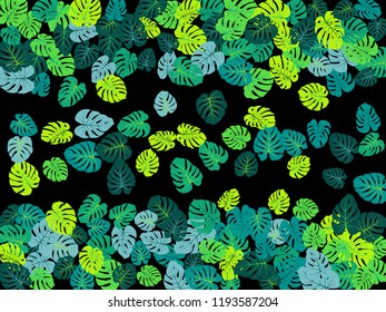 Teal tropical jungle leaves vector scatter. Philodendron or monstera plant summer background. Bohemian jungle plants tropical foliage pattern. Floral vector with monstera leaves on black.