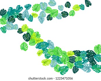 Teal tropical jungle leaves vector scatter. Philodendron or monstera plant summer background. Cool jungle plants tropical foliage pattern. Floral vector with monstera leaves on white.