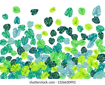 Teal tropical jungle leaves vector scatter. Philodendron or monstera plant summer background. Cute jungle plants tropical foliage pattern. Floral design with monstera leaves on white.