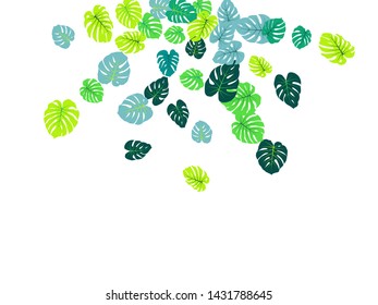 Teal tropical jungle leaves vector scatter. Philodendron or monstera plant summer background. Minimal jungle plants tropical foliage pattern. Floral vector with monstera leaves on white.