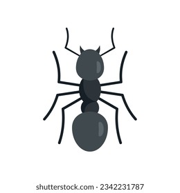 Team ant icon. Flat illustration of Team ant vector icon for web design isolated
