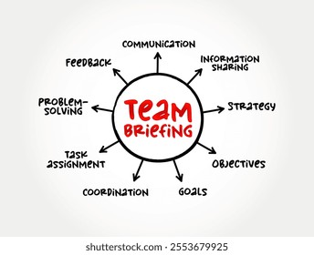 Team Briefing is a process which involves managers talking to their teams to exchange information and ideas, mind map text concept background