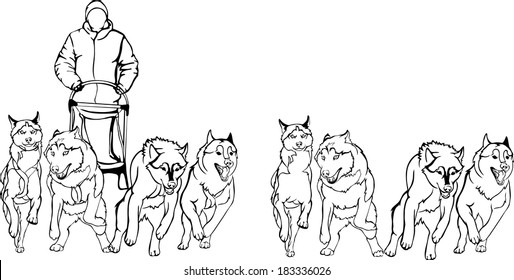 dog sledding coloring pages