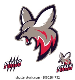 Team sport logo. Isolated Mascot Foxes logotype.