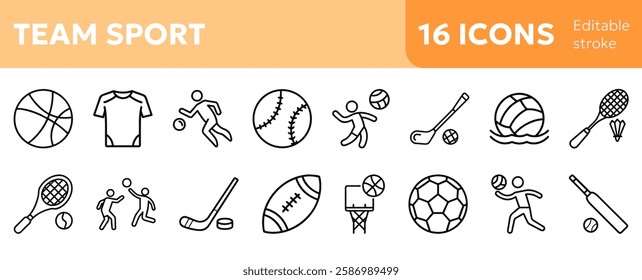 team sports icons including soccer ball, basketball, football, baseball, volleyball, hockey stick, rugby ball, cricket bat, tennis racket