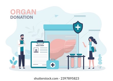 Ein Team von Transplantationsärzten und Chirurgen bewertet die Qualität und die Gesundheit der Spenderleber für die Transplantation in den Patienten. Spender menschliche Organe anatomisch gesunde Leber. Medizinisches Design, Vektorgrafik