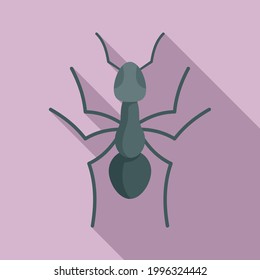 Teamwork ant icon. Flat illustration of Teamwork ant vector icon for web design