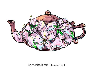 Teapot with flower buds and cherry or Apple petals. Vector illustration. Tea ceremonies.