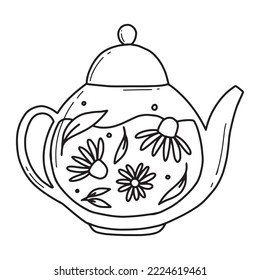 Teapot with green tea and chamomile Herbal tea with chamomile in a glass teapot. Vector illustration. Isolated illustration on a white background. Doodle style.