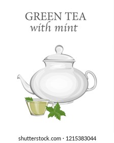 Teapot with green tea with mint. Glass kettle with hot aroma herbal drink. Fresh and good for health. Isolated vector illustration