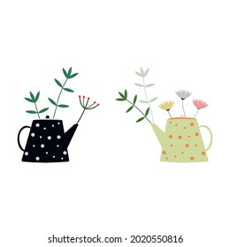Teapot with herbal plants. Herbal tea with two teapots.