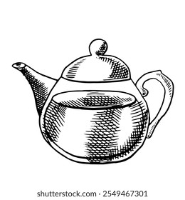 Teapot with hot tea hand drawn. Kettle ink Sketch drawing vector illustration. 